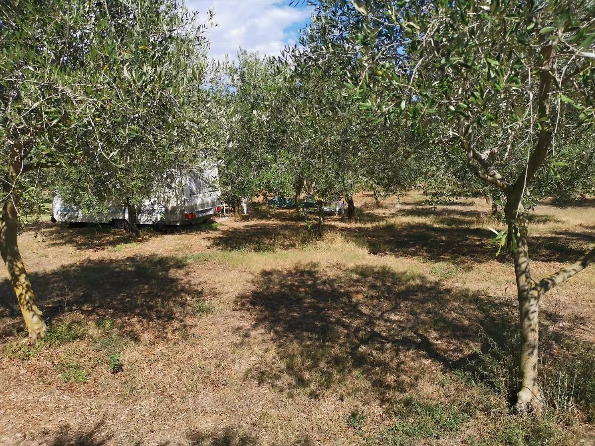 Camper For Two Hotell Banjole Kroatien